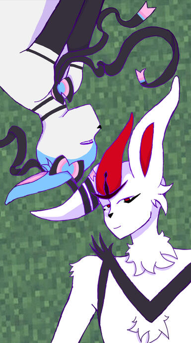 Full Drawing